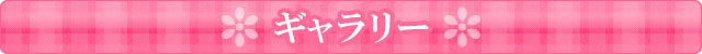 仔犬の紹介